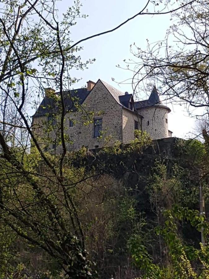 Manoir De La Coudre Hotel Changé Eksteriør billede
